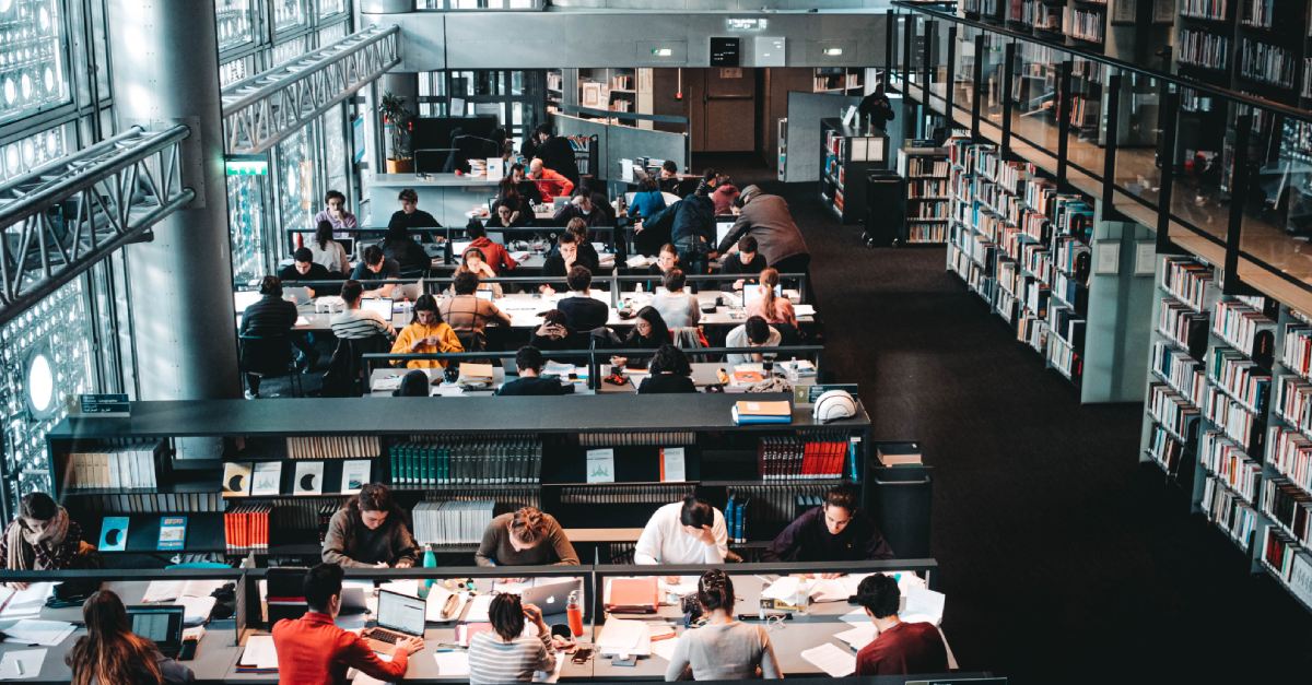 insight featured image